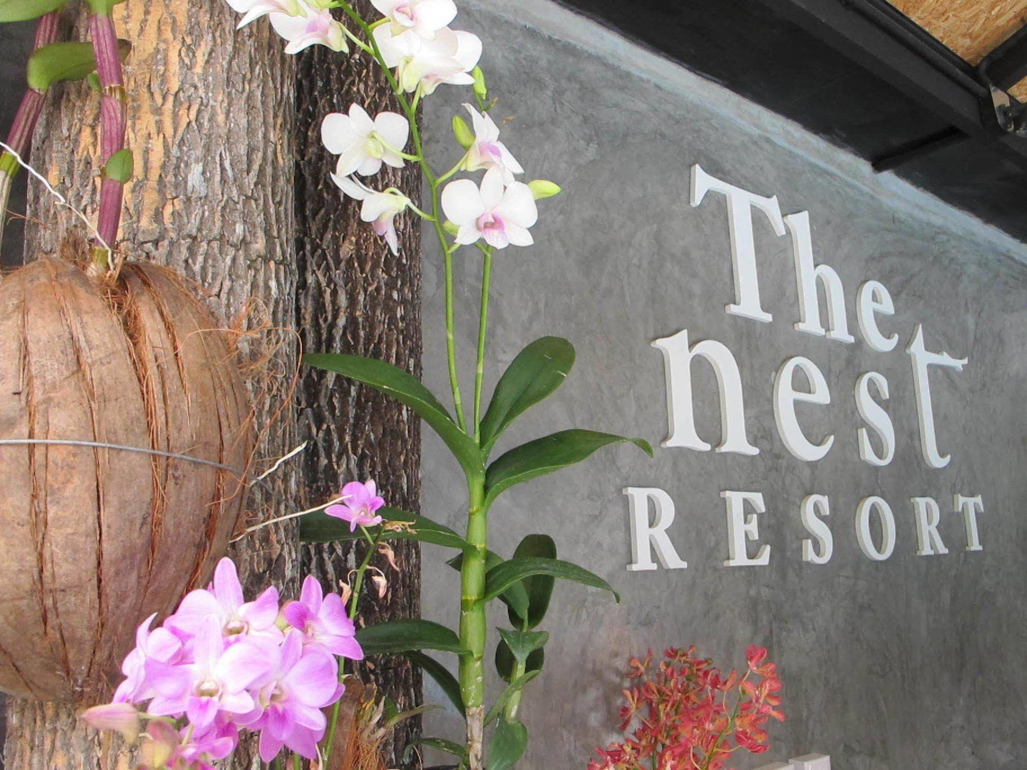 The Nest Resort Patong Eksteriør billede